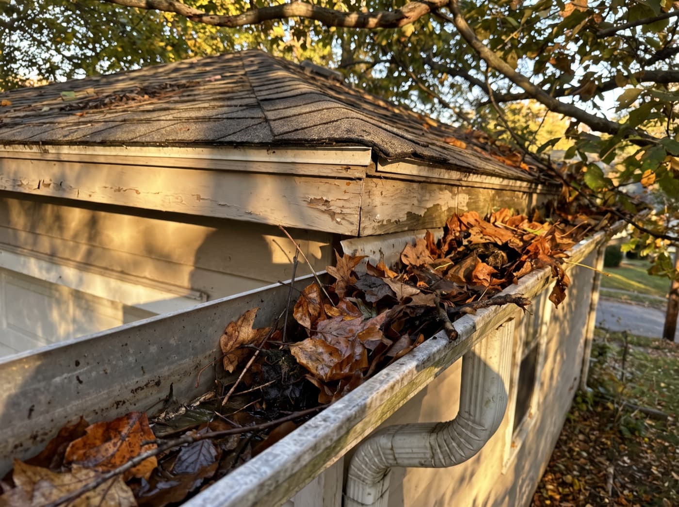 Gutter Cleaning — before and after — before